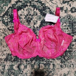 Ewa Michalak pink BM bra, 95GG